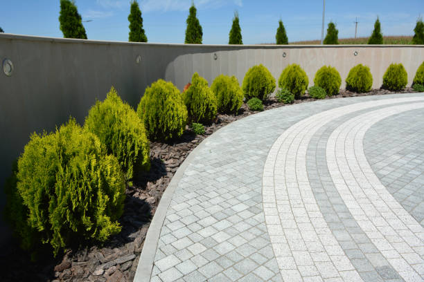 Best Driveway Pavers Near Me  in Towamensing Trails, PA